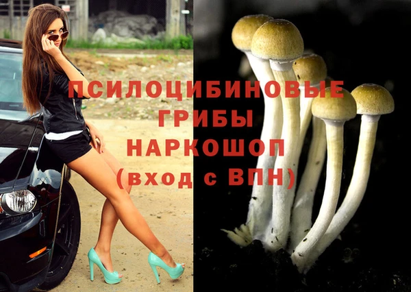 синтетический гашиш Алексин